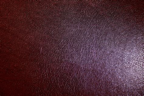 Leather Texture Free Stock Photo Public Domain Pictures