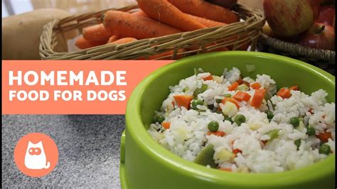 Homemade Food For Dogs Healthy Food Youtube
