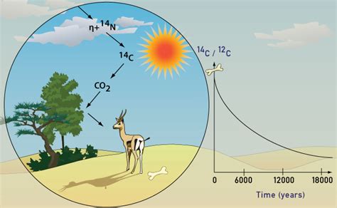 In discussions of the age of the earth and the antiquity of the human race, creationists often assail perceived weaknesses in radiocarbon dating. The Future of RadioCarbon Dating - And an Overview of the ...