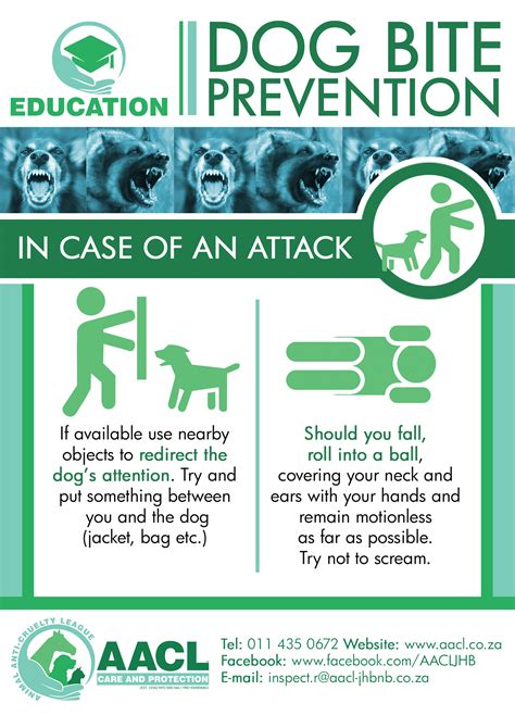 He may also be disinterested in food. Rabies and dog bite prevention - AACL