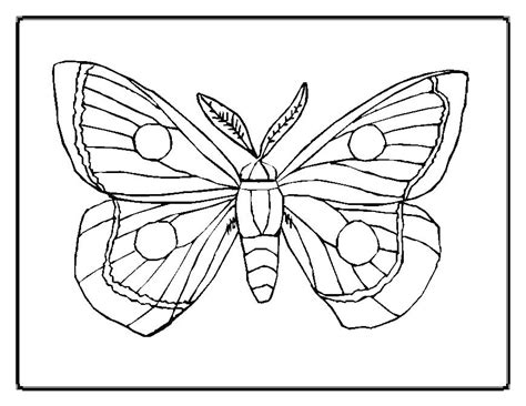 Click the black swallowtail coloring. Simple Butterfly Coloring Page at GetColorings.com | Free ...