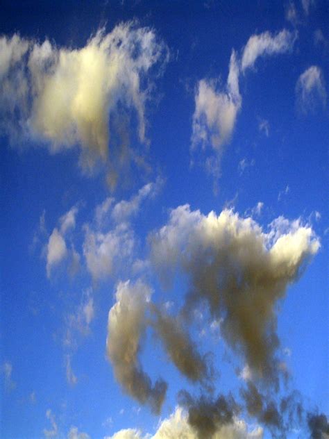 Free photo: Cotton Sky - Blue, Bspo06, Clouds - Free Download - Jooinn