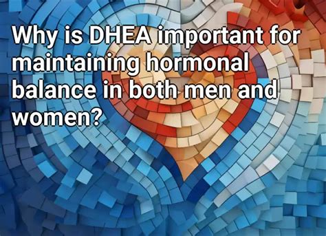 why is dhea important for maintaining hormonal balance in both men and women lifeextension