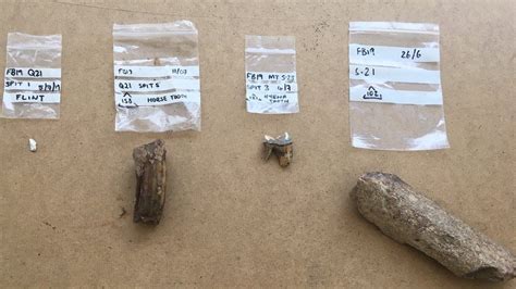 Woolly Rhino Teeth Among Finds Discovered In Denbighshire BBC News