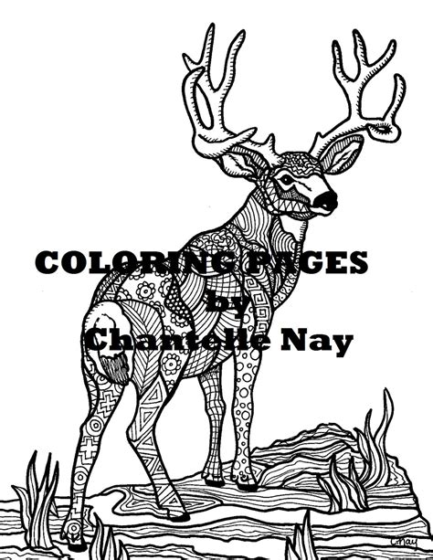 Wildlife Printable Coloring Pages