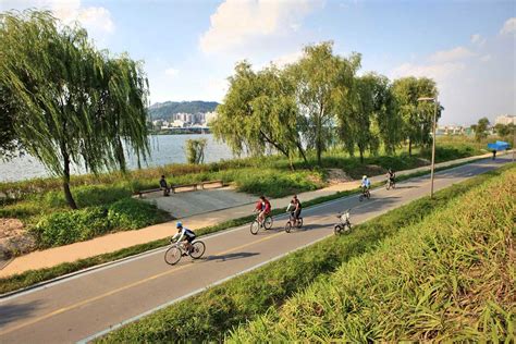 Yeouido Hangang River Park Bike Rentals River Park Han River Park