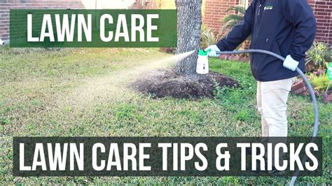 How To Keep Grass Green Lawn Care Tips Youtube