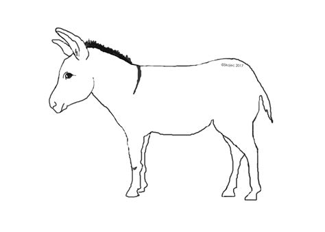 How To Draw A Donkey