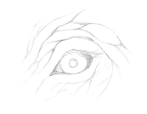 Sketch Images Of An Eye