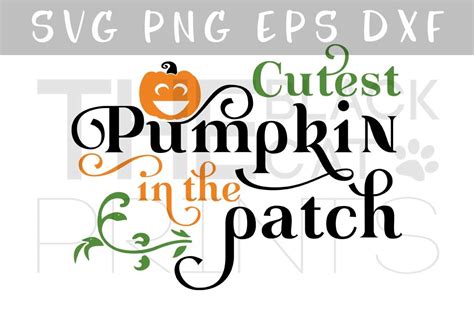 Cutest Pumpkin In The Patch Svg Dxf Eps Png By Theblackcatprints