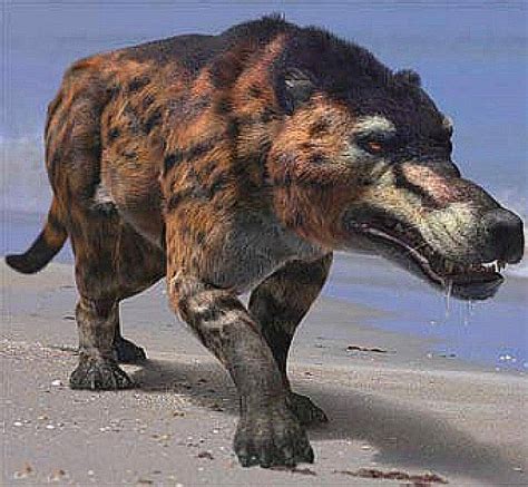 Andrewsarchus— The Worlds Largest Predatory Mammal