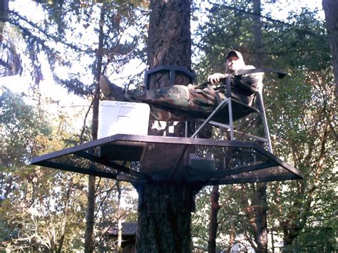 Bow Hunter In Tree Stand