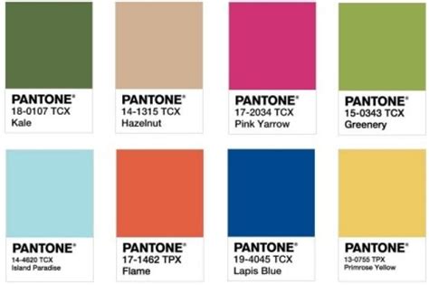 How Do They Choose The Pantone Colour Of The Year