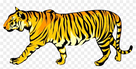 Vector Illustration Of Royal Bengal Tiger From From Animated Walking