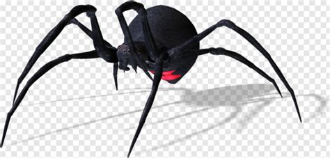 Spider Man Homecoming Spider Webs Spider Black Widow Spider Spider