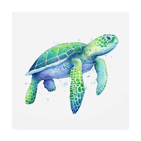 Trademark Fine Art Green Sea Turtle Painting Canvas Art By Sam Nage