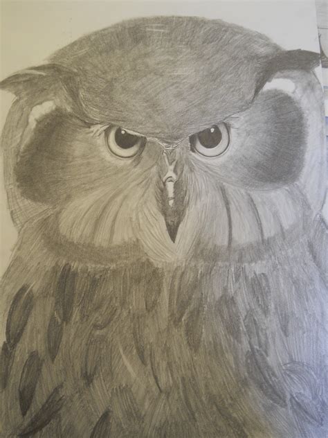 Creative Expressions: Wild Animal Drawings in Pencil and Previews