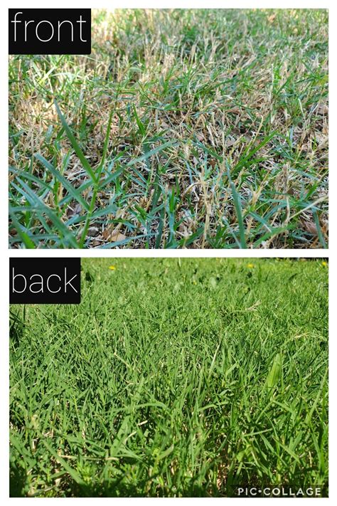 Help Identifying Grass Rlawncare