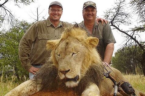 Use custom templates to tell the right story for your business. Shocking photo shows Cecil the lion killer's DAUGHTER ...