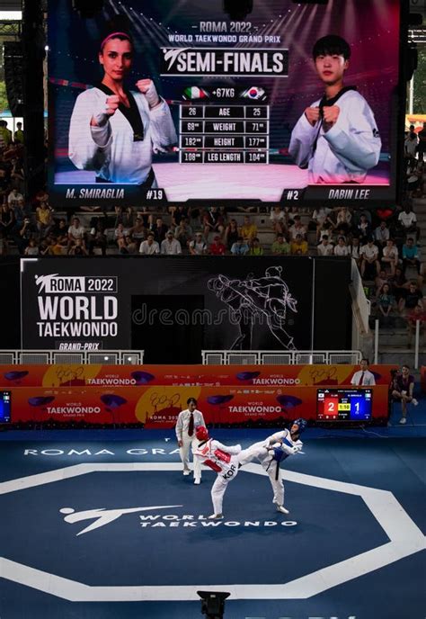 Taekwondo Ground And Banner With Fighter In Action Editorial Stock