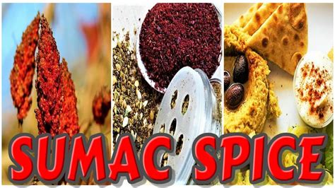 Exploring Sumac Spice Middle Eastern Sumac Powder Youtube