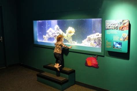 The Maritime Aquarium At Norwalk