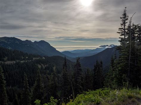 The Great Washington Road Trip Olympic National Park Road Trip