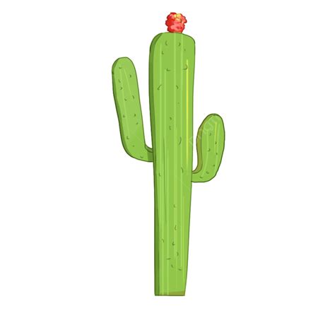 Strong Cactus Clipart Hd Png Strong Cactus Plant Cactus Drought