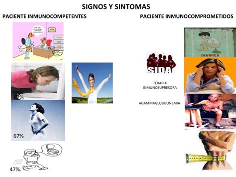 And genotypes results in a wide range of signs and symptoms. Cryptosporum parvum