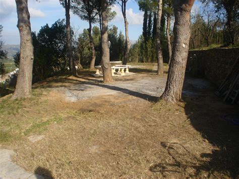 Wood ashes from a fireplace, wood stove or other location are highly alkaline and can raise soil's ph level, making it less acidic. Wood Ash - Lawns in Spain Real Green Grass Lawns