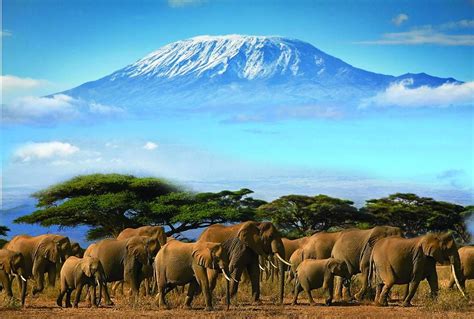 4 Days Tsavo East And Amboseli Safari Kenya Safaris