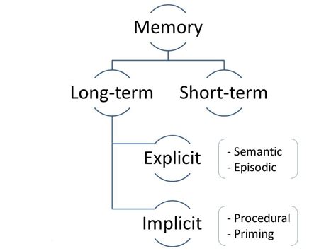 Types Of Memory In Psychology Explained Psychmechanics 2022