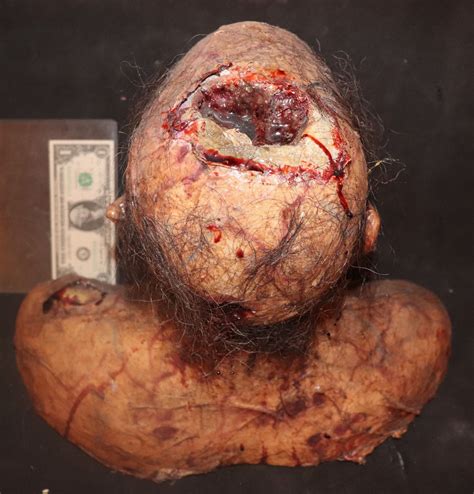 The Walking Dead Zombie Corpse Head Keeper Quality Gore 1