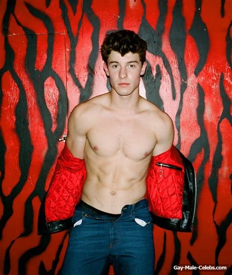 free shawn mendes sexy the gay gay