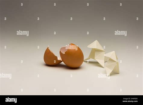 Huevos Agrietados Y Corbatas De Papel Cáscaras De Huevo Fotografía De