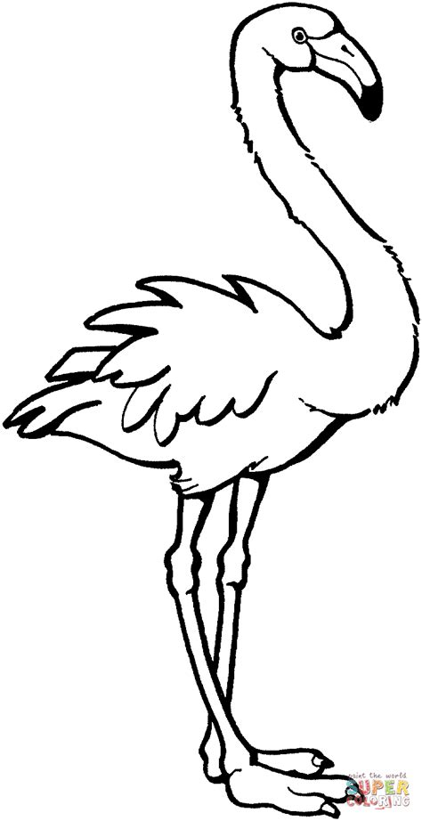 Desenhos De Flamingo Para Pintar Criando Apego
