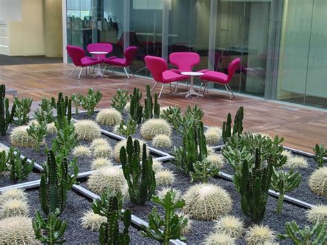 Cactus Zen Garden With An Article On How Plants Clean The Air