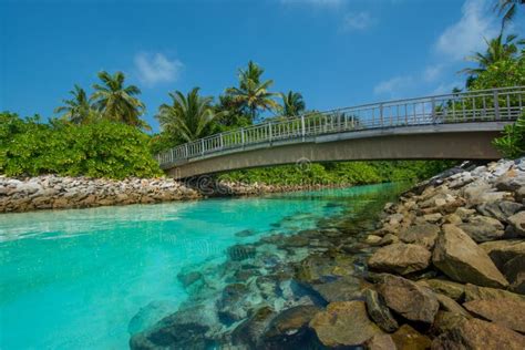 Tropical Lagoon View With Bridge At Maldives Stock Image Image Of