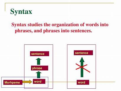 Syntax Linguistics Introduction Chapter Ppt Powerpoint Presentation