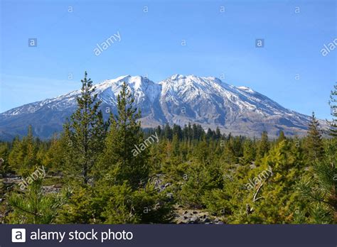 View Of The Snowy Peaks And South Side Of Mt St Helens Across The