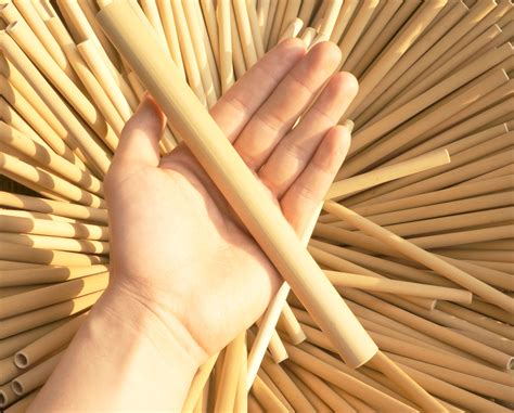 Organic Bamboo Straw
