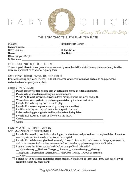 Printable Editable Birth Plan Template