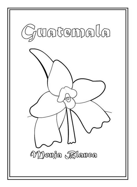 Flor Nacional De Guatemala Para Colorear Y Pintar Dibujo Views