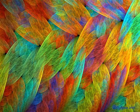 Bird Feather Wallpaper Wallpapersafari