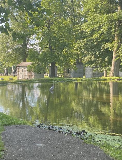 perceive-me-not on Twitter: "This week’s animal encounters https://t.co