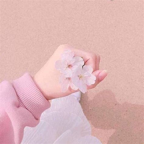 Apr 01, 2021 · stargazer lilies are identified by their deep pink flowers, pink freckles, and white edging. #pastelpink #pastel #pink #aesthetic #flower