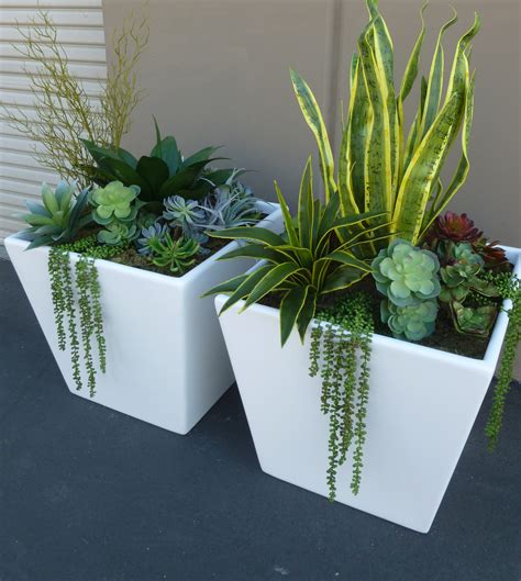 Mixed Succulents In Large Fiberglass Planters Make Be Leaves
