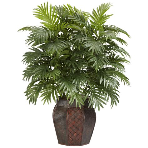 Best Large Silk Trees For Home Decor Your Smart Home