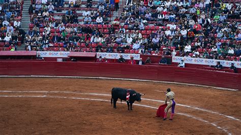 Las Corridas De Toros En México Y Puede Ser La última