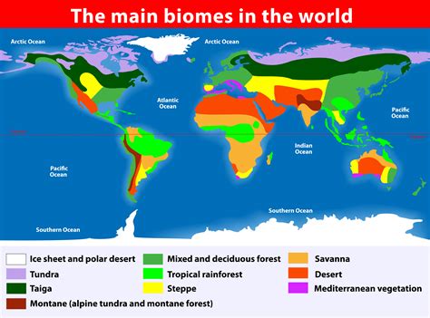 Biomes Map Worksheet